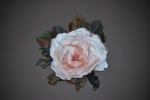Rose 09